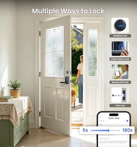 Veise VE029-E WiFi Smart Lever Lock with Non-Keyed Deadbolt, Matte Black
