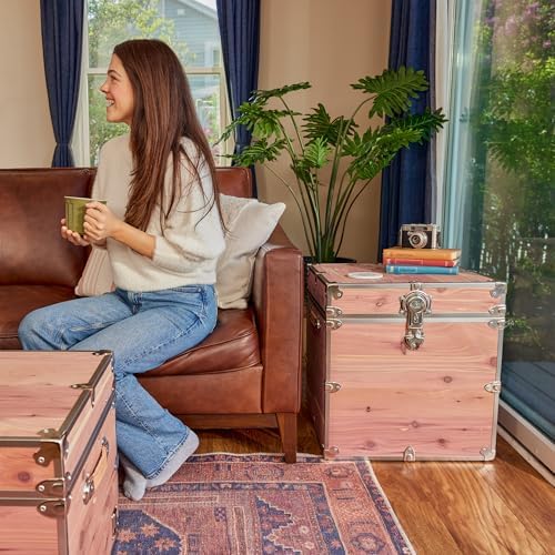 Rhino Knotty Cedar Cube Chest, End Table Storage Trunk, Bench