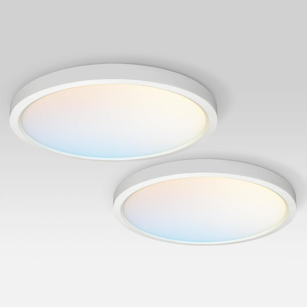ASD LED 15" Round Flush Mount Ceiling Light Fixture, Low Profile Surface (2 Pack)