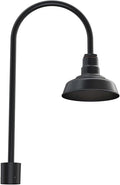 Steel Lighting Co. Hawthorne Light | Outdoor Pole Top Mounted | 8" Dome |
