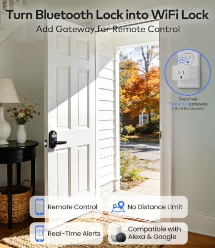 TEEHO TE019 Smart Keypad Door Lock with Handle for Front Door, Matte Black
