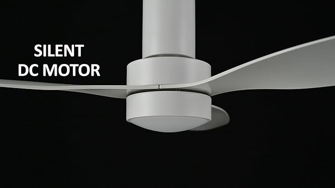 SMAAIR 52 Inch Ceiling Fan