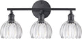 Shenmoyl Bathroom Light Fixtures, 3-Light Black Vanity Wall Light Over Mirror