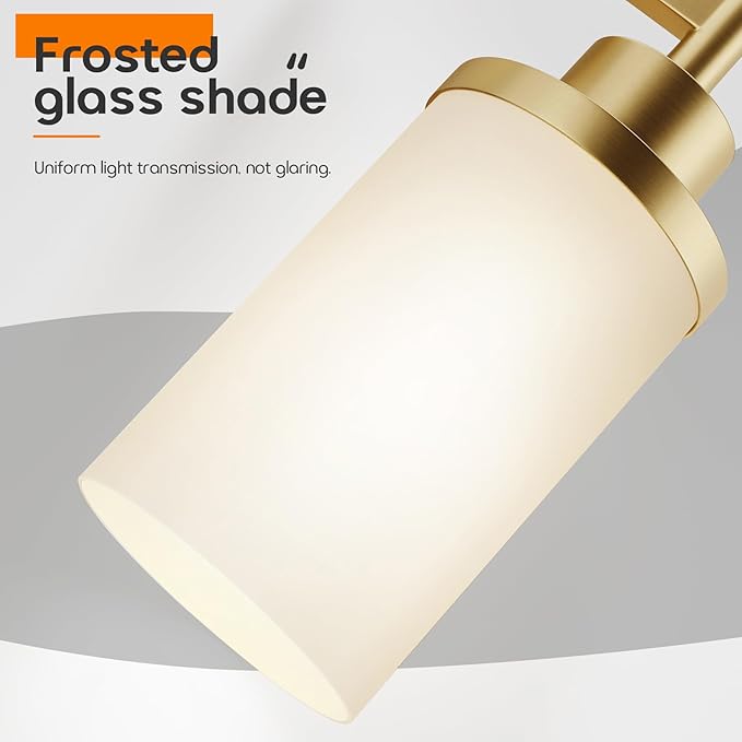 AONEON Vanity Lighting Fixtures (2 Pack)