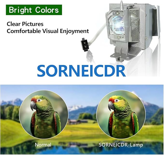 SORNEICDR Replacement Projector Lamp Bulb