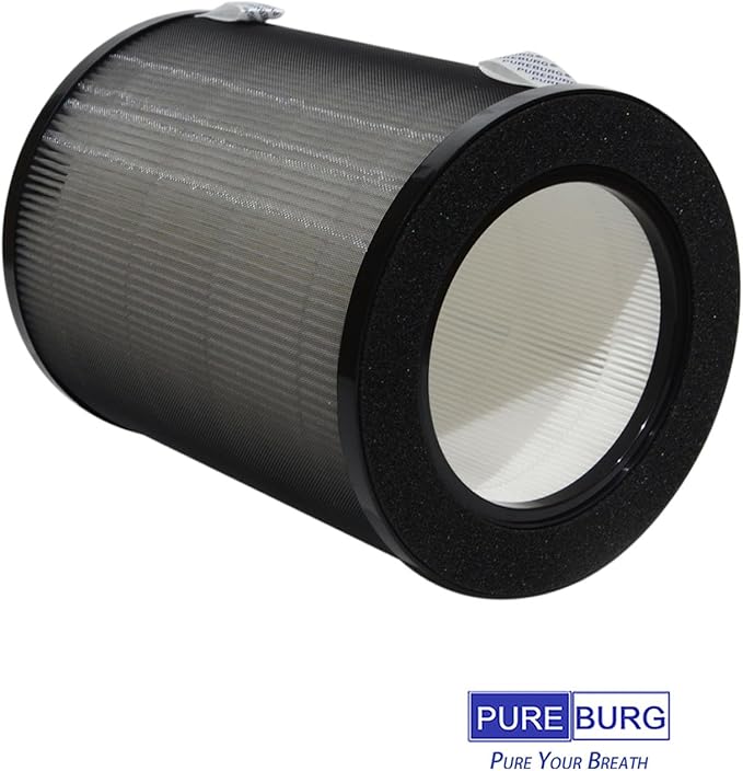 PUREBURG DR-HPA019 Replacement Filter Compatible (2-Pack)