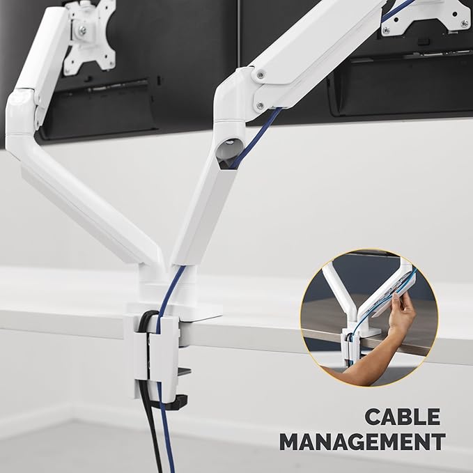 Fellowes Platinum Series Dual Monitor Arm