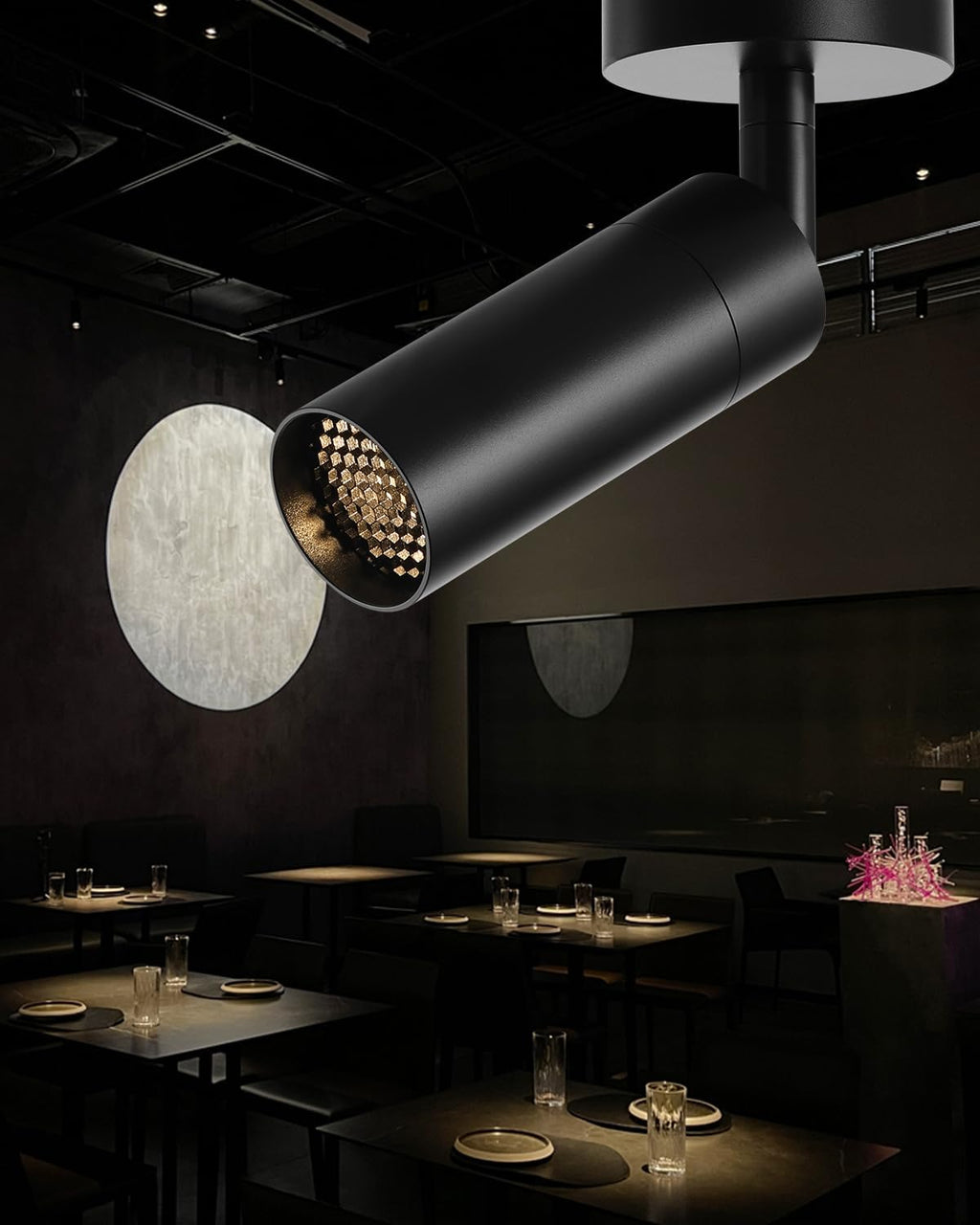Gpaillumic Led Modern Directional Spotlight, Zoomable Monopoint Ceiling Spot