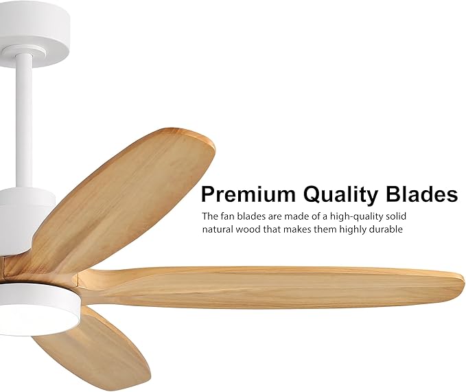 WINGBO 54" Ceiling Fan with Light