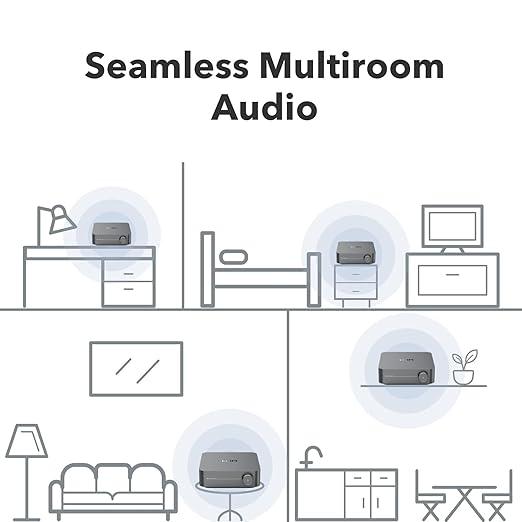 WiiM Amp Pro: Multiroom Streaming Amplifier | Compatible