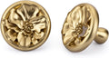 Rergy Cabinet Knobs for Drawer Dresser Closet Flower Shape 12 Pack, Solid Lemon Gold Drawer Knobs, Brushed Brass Zinc Alloy Cabinet Hardware for Cupboard Drawers Dressers