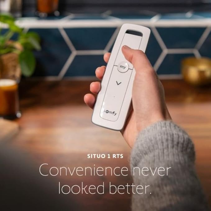 Somfy Situo 1800128 RTS The New Telis 1 Remote Control