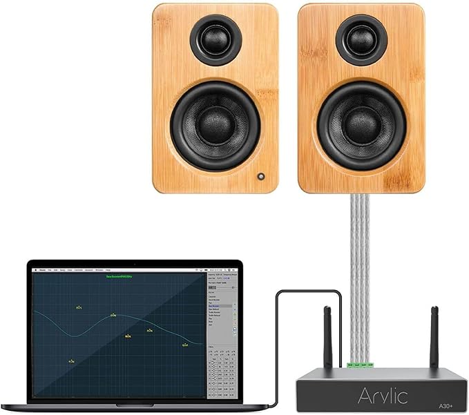 Arylic Stereo WiFi and Bluetooth 5.0, 2-Channel Class D Wireless Mini Home