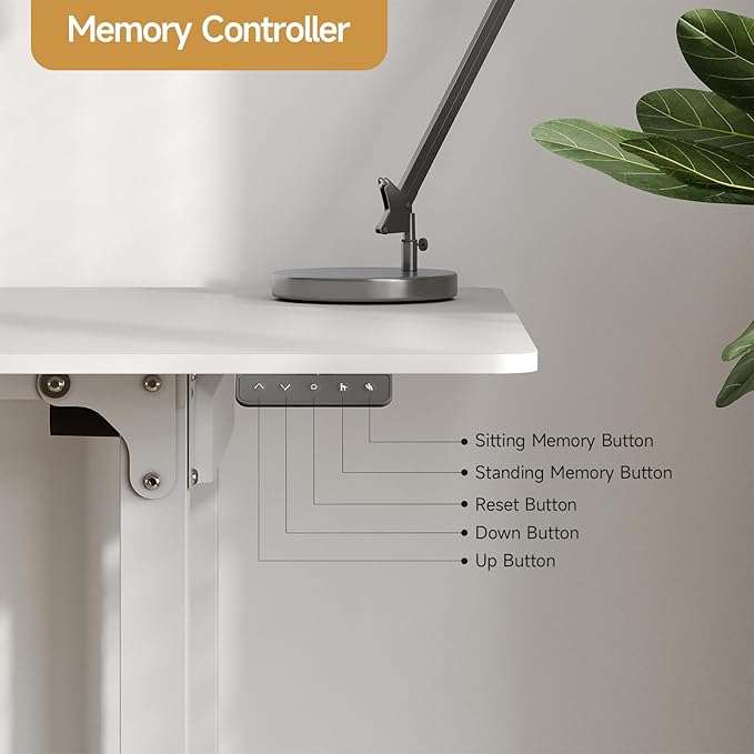 ONBRILL Standing Desk, 71x32 Inches Rectangle Stand Up Desk