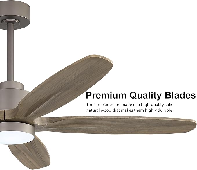 WINGBO 54" Ceiling Fan with Light