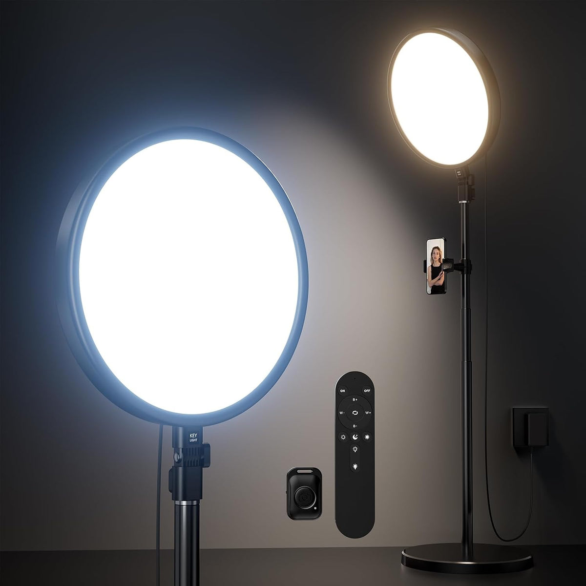 Weilisi Large Ring Light with 79" Stand, 6500K Professional Full-Screen Big