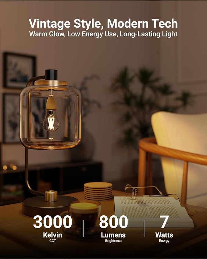 Sunco 40 Pack A15 Light Bulb LED, Edison Style Bulb, Dimmable Vintage Filament