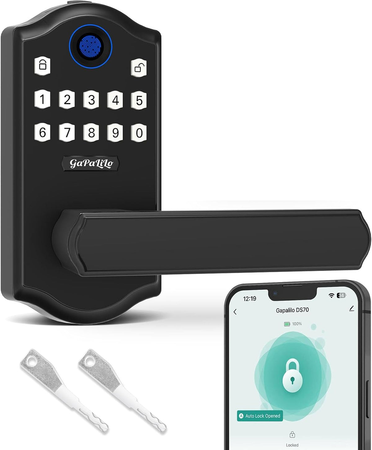 Multi Unlock Methods Smart Door Lock with Keypad