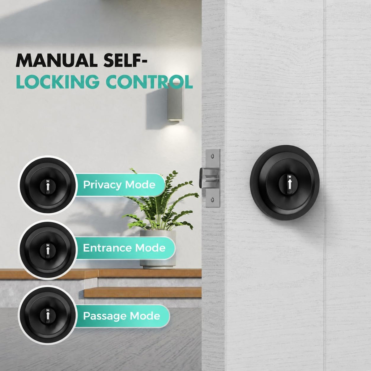 HEI LIANG Smart Door Lock Knob, Fingerprint Keyless Entry, Matte Black