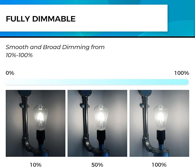 Hizashi Vintage LED Light Bulb Dimmable, 6W Equivalent 60W, 5000k Daylight (24 Pack)