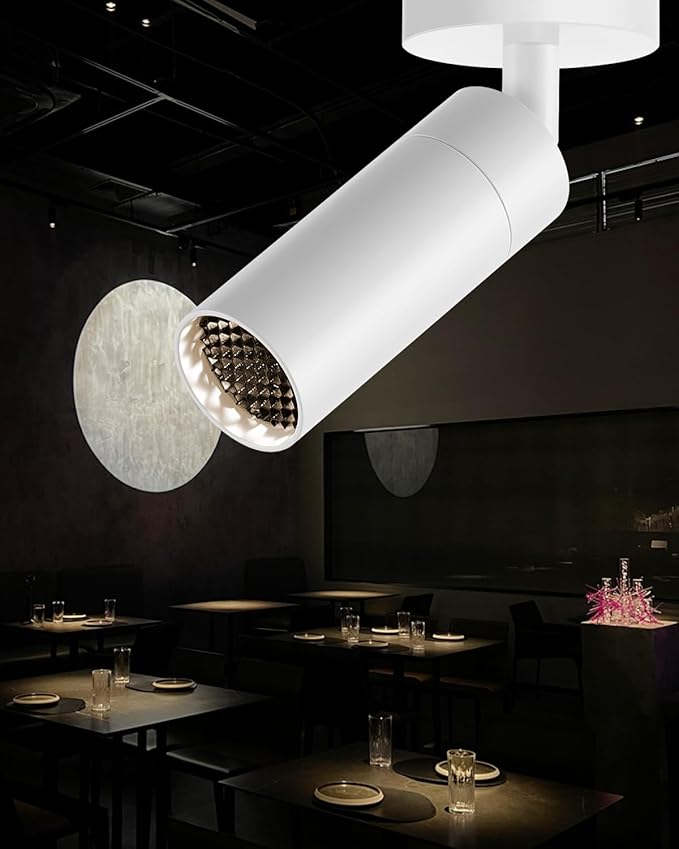 Gpaillumic Led Modern Directional Spotlight, Zoomable Monopoint Ceiling Spot