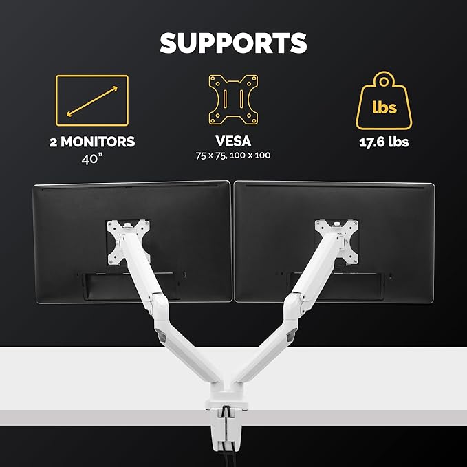 Fellowes Platinum Series Dual Monitor Arm