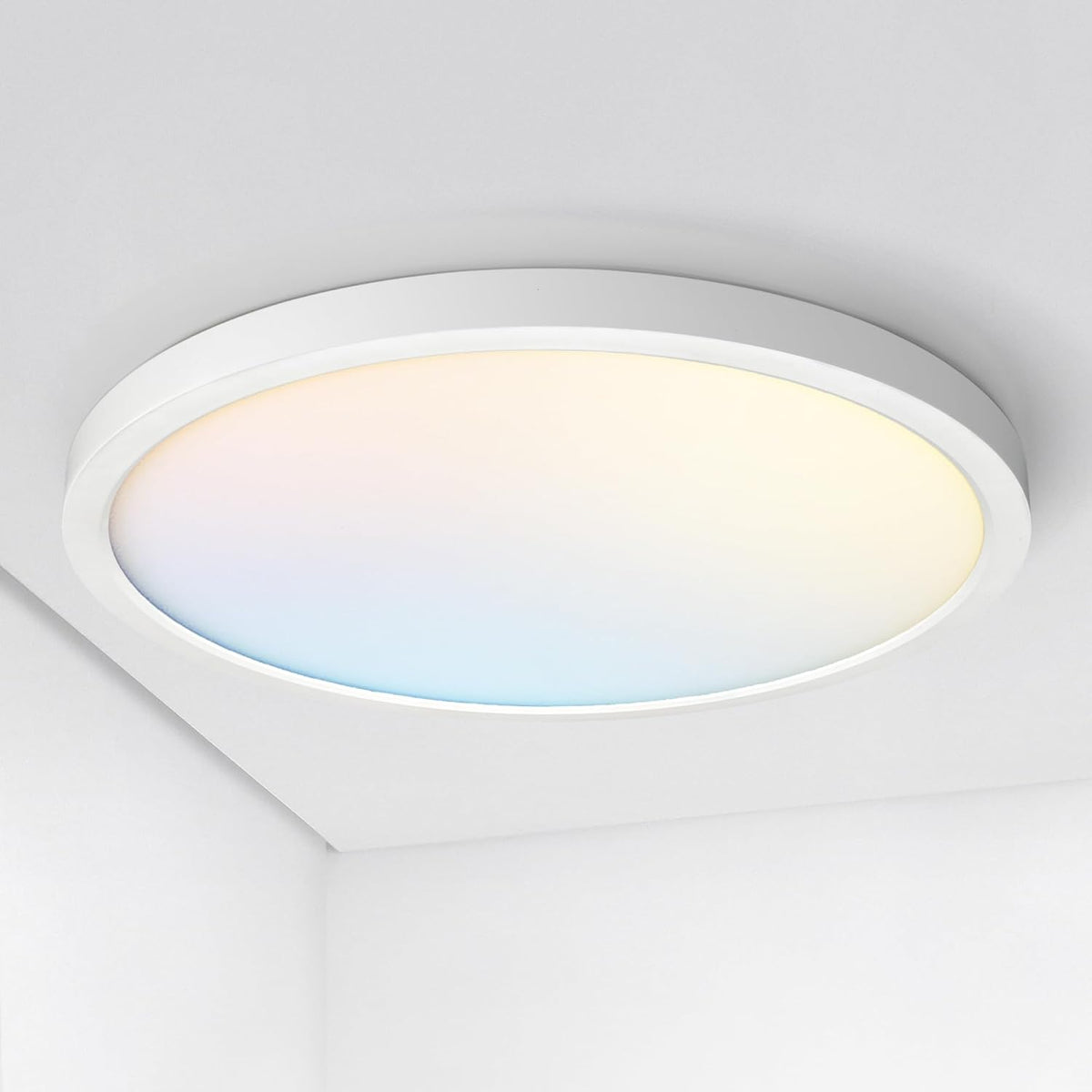 ASD LED 24" Round Flush Mount Ceiling Light Fixture, Low Profile Surface