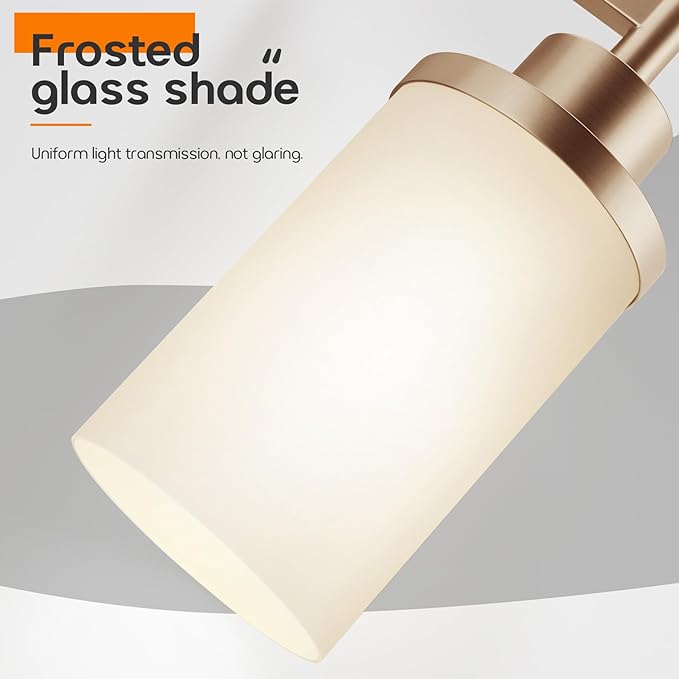 AONEON Vanity Lighting Fixtures (2 Pack)