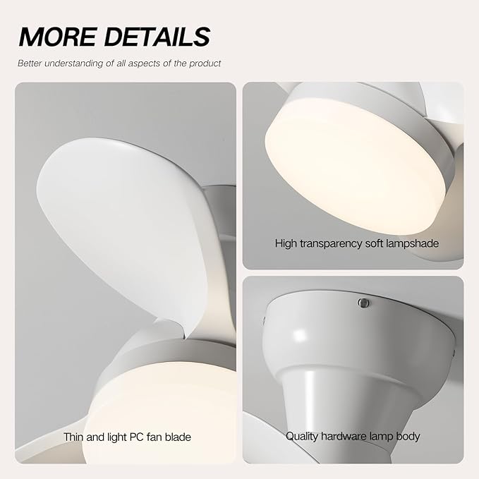 Myleoron 20 Inch Ceiling Fan