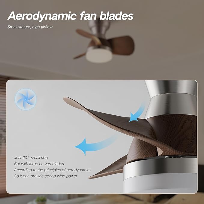 Myleoron 20 Inch Ceiling Fan