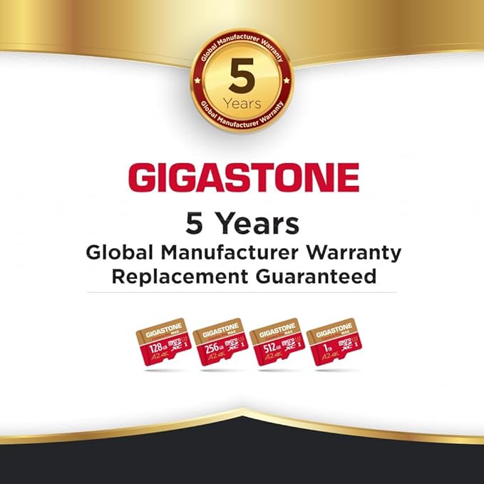 【5-Years Data Recovery】 GIGASTONE 256GB Micro SD Card