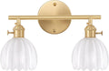 Shenmoyl Bathroom Light Fixtures, 2-Light Brass Vanity Wall Light Over Mirror