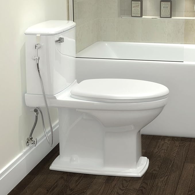 Brondell Hand Held Bidet Sprayer
