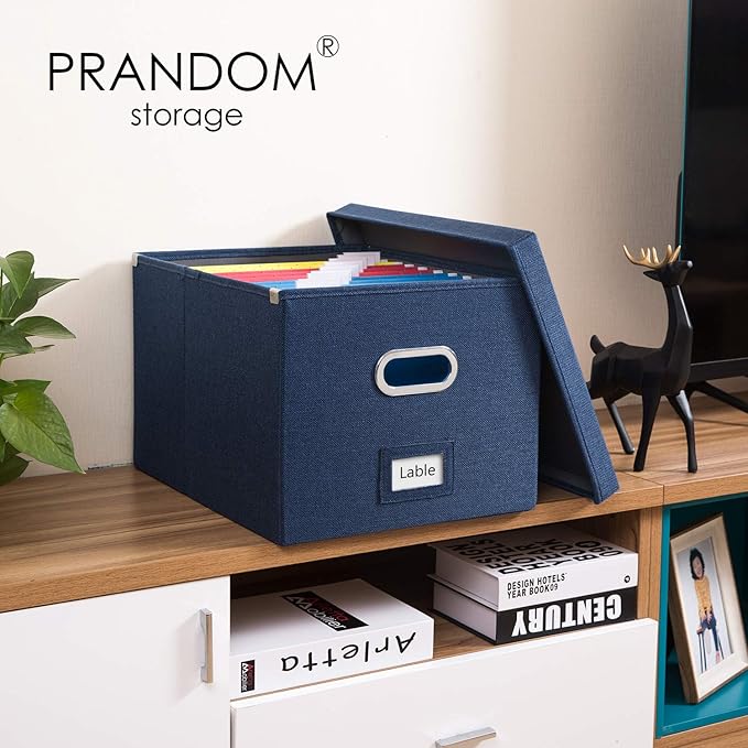PRANDOM File Organizer Box (Set of 2)