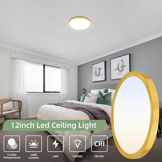 hykolity 12 Inch Selectable CCT LED Round Flat Panel Light, 24W (2 Pack)