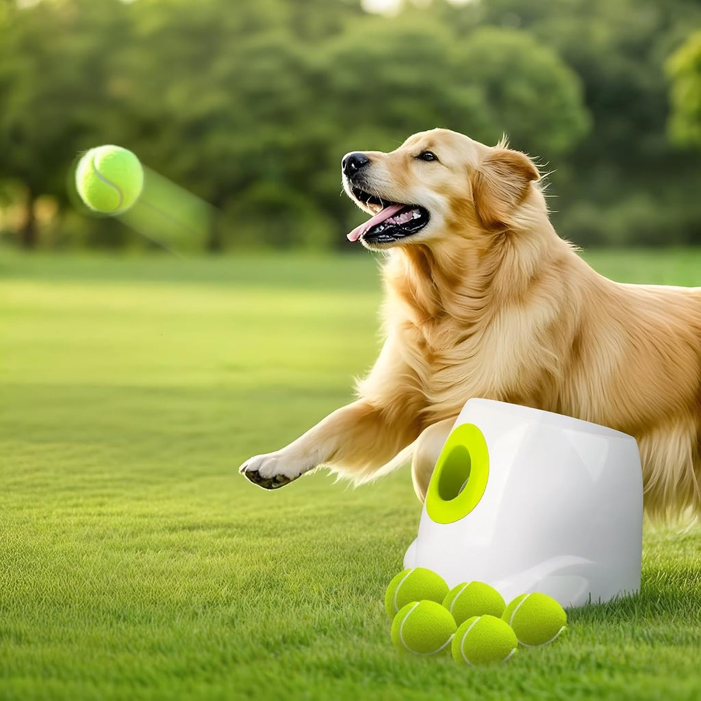 ALL FOR PAWS Automatic Ball Launcher for Dogs Interactive Puppy Pet Ball (6 Pcs)