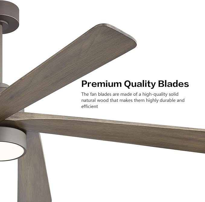WINGBO 54 Inch DC Ceiling Fan