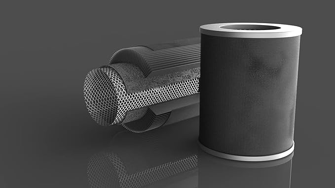 Air Health SKYE Replacement Filter featuring a Pre-Filter, Carbon Filter