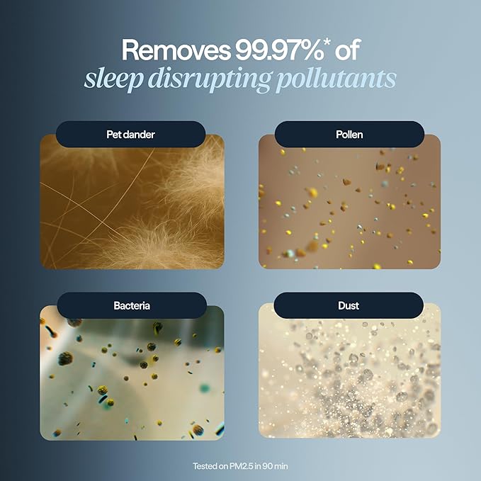 BLUEAIR Purifier for Bedroom