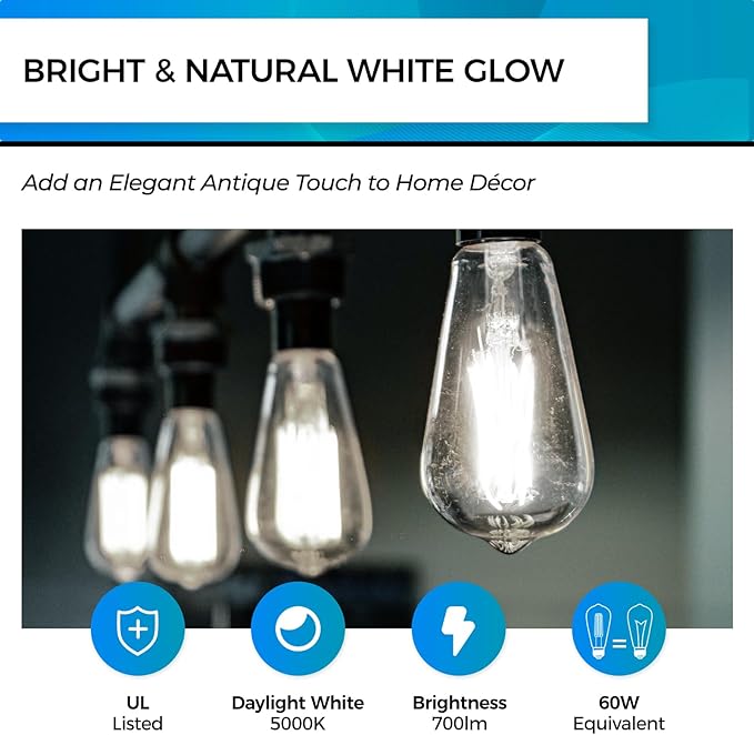 Hizashi Vintage LED Light Bulb Dimmable, 6W Equivalent 60W, 5000k Daylight (24 Pack)