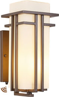 15.35"H Matte Brown Outdoor Wall Light Large Outdoor Wall Lantern Oil Rubbed