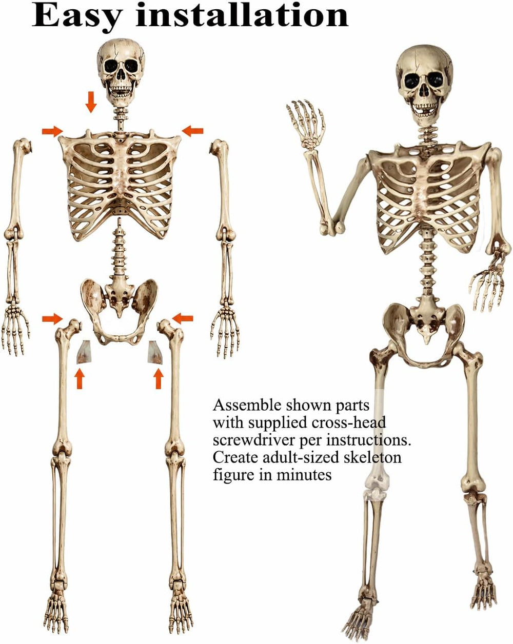 Aimeiar 5.4 Ft Halloween Skeleton Life Size, Posable Skeletons Decor, Full Bo...