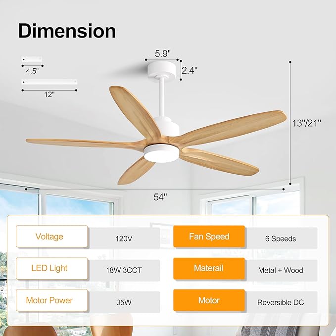 WINGBO 54" Ceiling Fan with Light