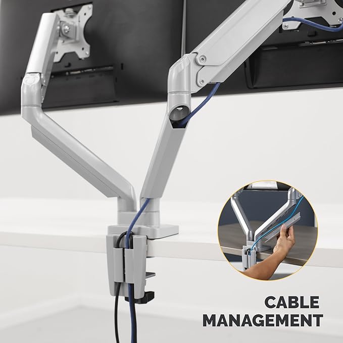 Fellowes Platinum Series Dual Monitor Arm