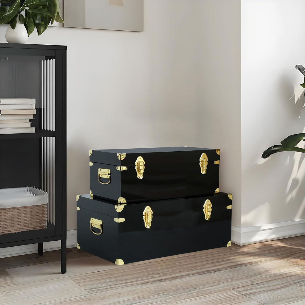 vixdonos acrylic storage chest decorative trunk set of on a desk or shelf