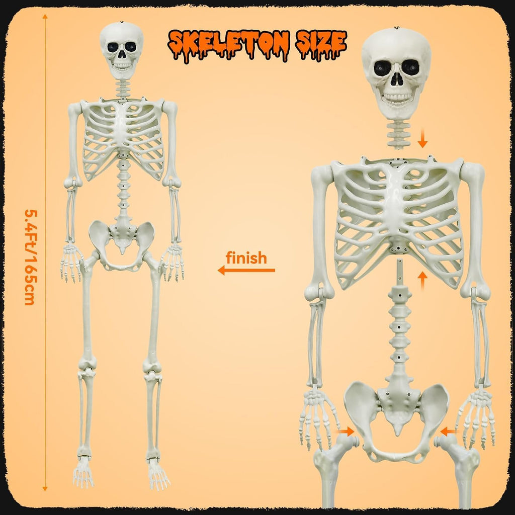 Halloween Decorations Outdoor 5.4Ft Life-Size Realistic Posable Skeleton