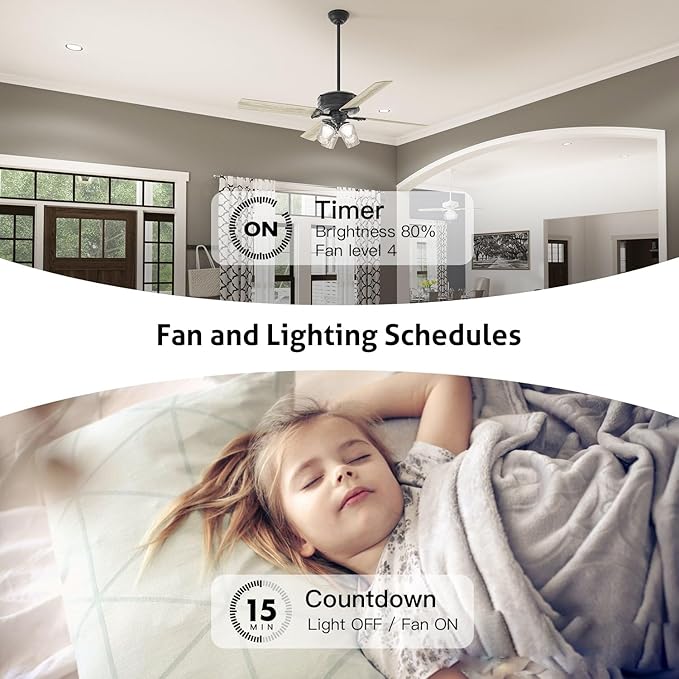 TREATLIFE Smart Ceiling Fan Control and Dimmer Light Switch, 2.4GHz WiFi Only