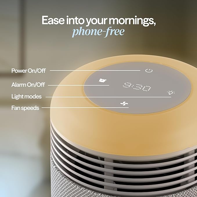 BLUEAIR Purifier for Bedroom