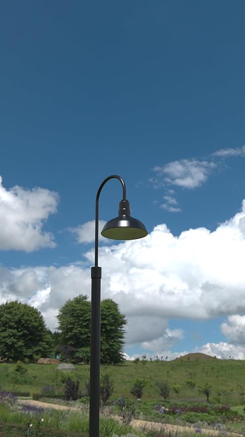 Steel Lighting Co. Hawthorne Light | Outdoor Pole Top Mounted | 8" Dome |