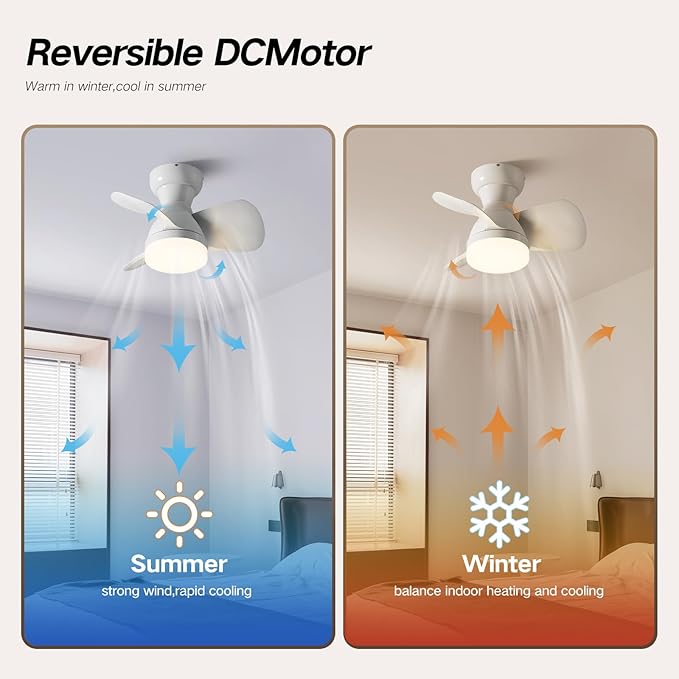 Myleoron 20 Inch Ceiling Fan